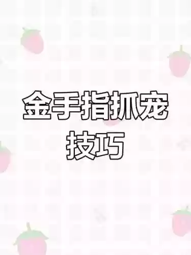 白金全技能金手指插图1