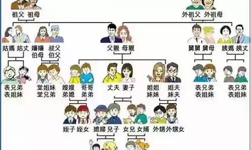武器是大龙的亲戚插图