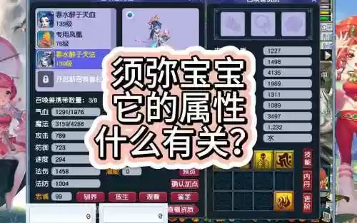 须弥宝宝装备什么属性加点好插图