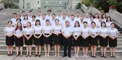 会计阵容插图