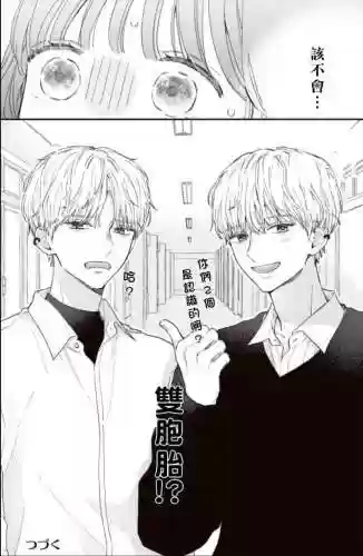 攻略双胞胎兄弟_1插图1