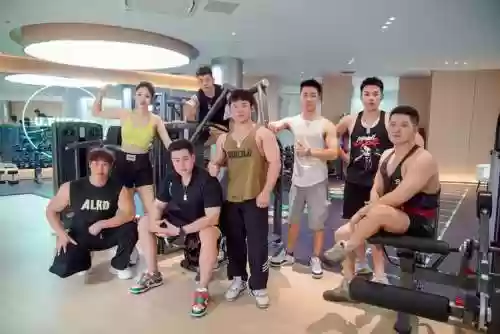 健体最强阵容插图
