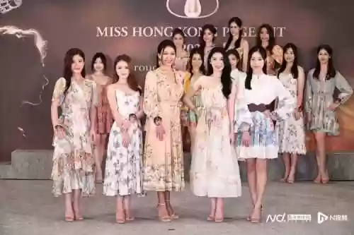 选嘉阵容插图1