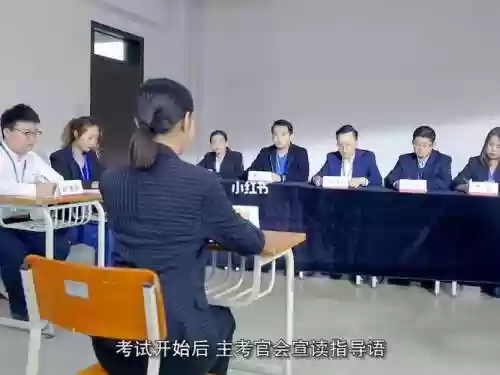 面试老师阵容插图1