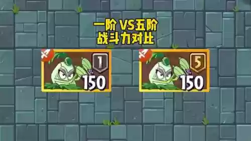 尖刺秋葵阵容插图1