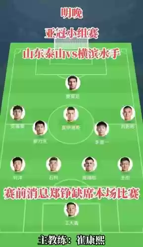 鲁能最终阵容插图