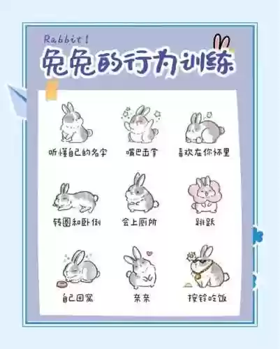 复活节兔宝宝技能插图