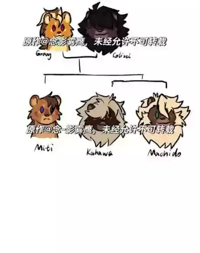 幼狮阵容搭配插图