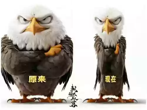 熬鹰阵容插图1
