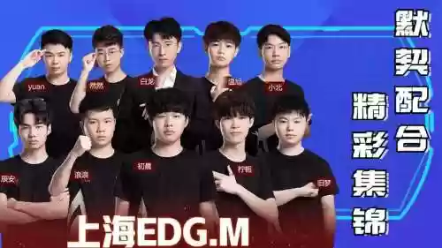 edg黄金阵容插图1