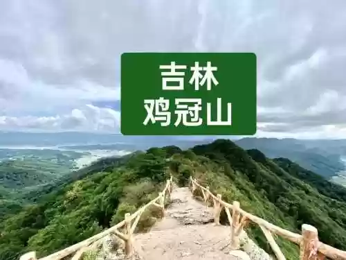 到家2鸡冠山视频攻略插图1