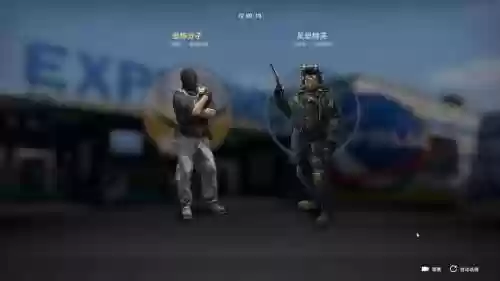 csgo阵容散弹插图