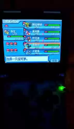 口袋妖怪白金精灵攻略图文攻略插图1