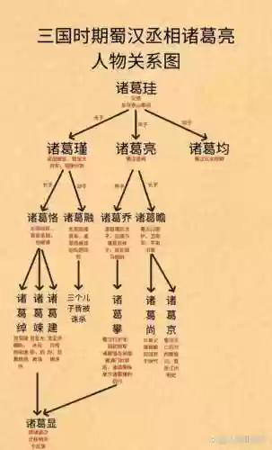 诸葛瑾阵容搭配插图1