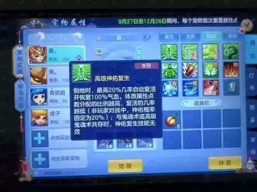 神武小贝高追配什么技能插图