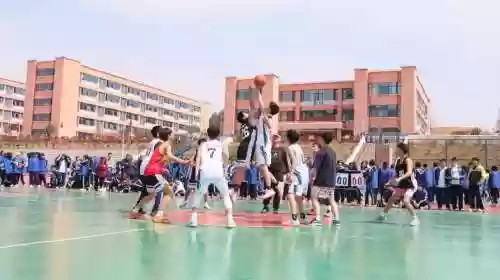 龙山篮球阵容插图