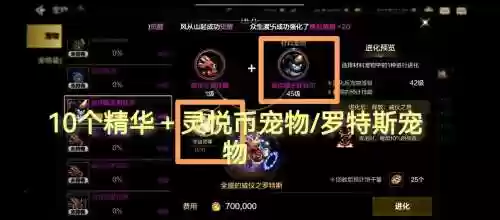 dnf宠物精体装备插图1
