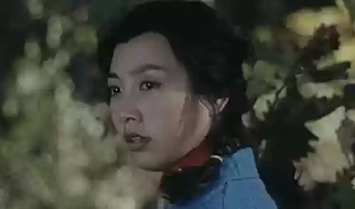 赵英阵容_1插图1