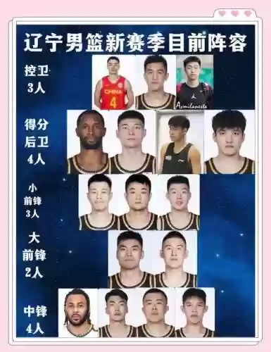 辽宁队阵容搭配表图片_1插图