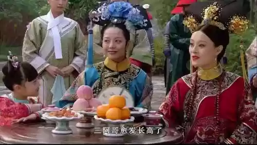 齐妃阵容插图1
