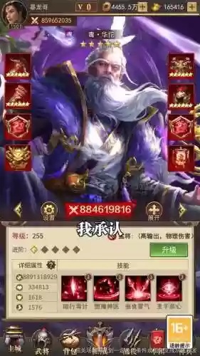 真武阵容搭配推荐插图