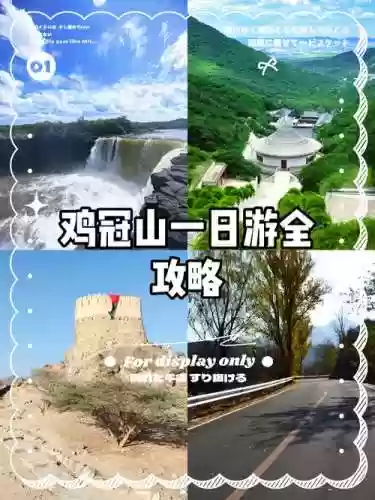 到家2鸡冠山视频攻略插图