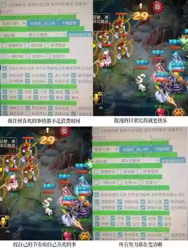 梦幻西游手游流年辅助插图