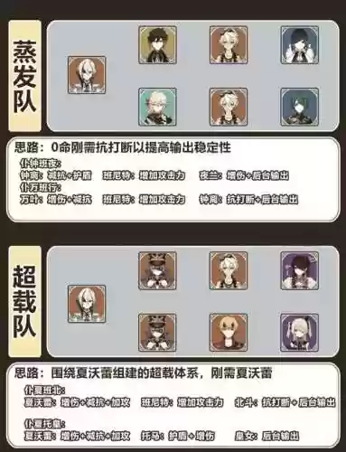 须弥人偶搭配阵容插图