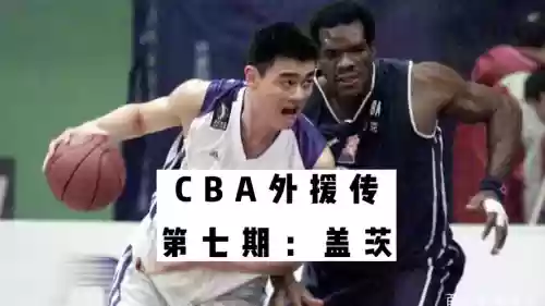 盖茨外援阵容插图