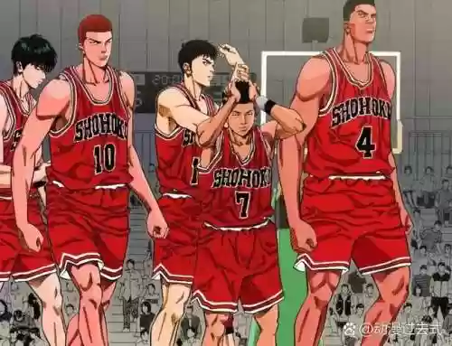 红叶赤木阵容插图