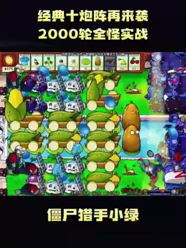 大炮最强搭配阵容插图