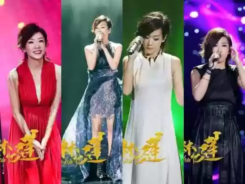 2017歌手阵容插图