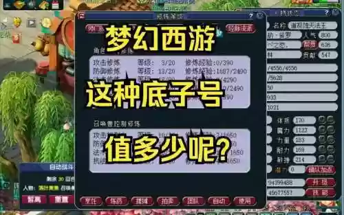 梦幻西游老区打图号插图1