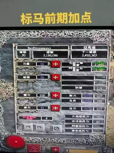 暗黑魔电亚马逊技能插图