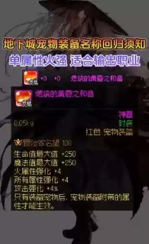 dnf普通宠物装备属性吗插图