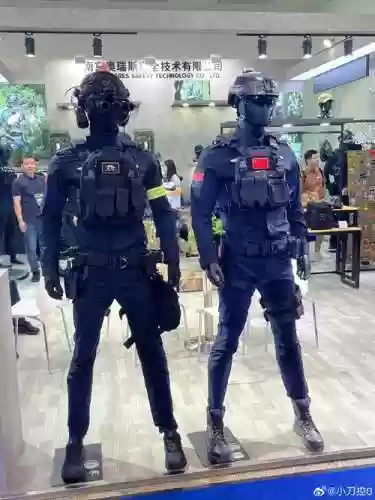 国际反恐武器装备展插图1