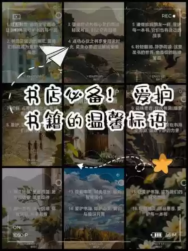 守护书攻略插图