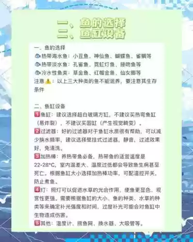 养鱼阵容配置_1插图1