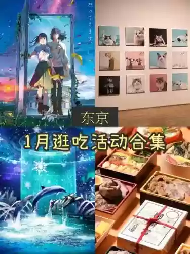 美食祭阵容搭配插图1