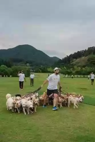 溜狗阵容插图1