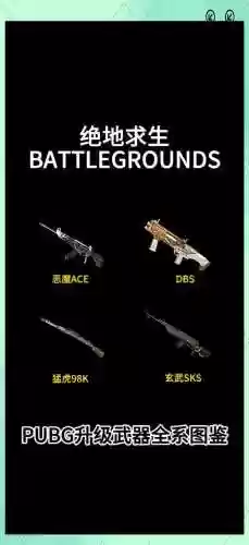 绝地求生不知道的武器插图1