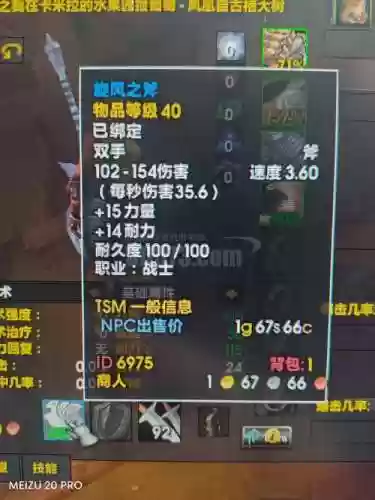 魔兽世界人类战士装备插图