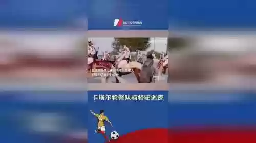 卡塔尔安保阵容插图1