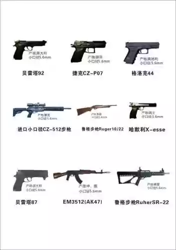 90枪武器属性插图1