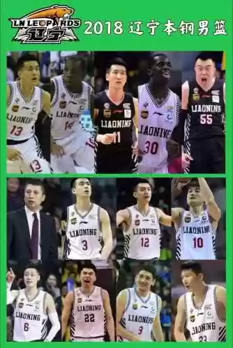 辽宁队阵容搭配表图片_1插图1