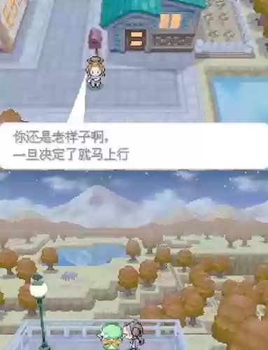 口袋妖怪化黑白攻略插图