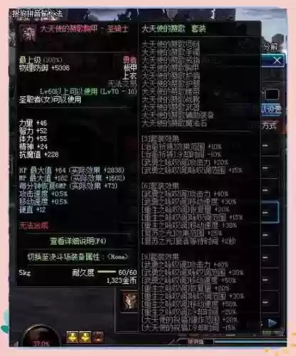 圣骑士异界带什么装备插图1