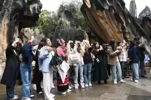石林最佳阵容搭配图片插图