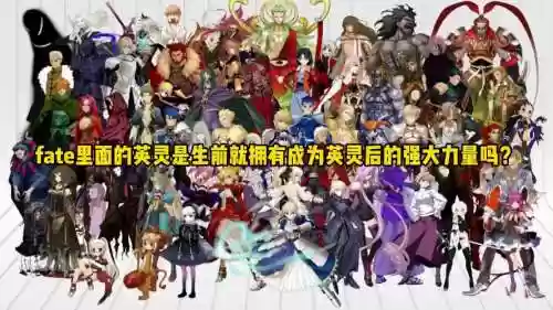 fate最新阵容插图1