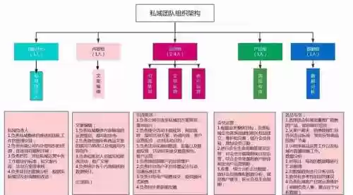 运营体系阵容插图
